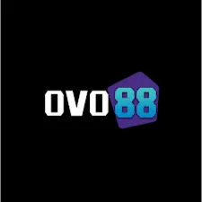 OVO88 - Game Gaple Seru dan Menyenangkan